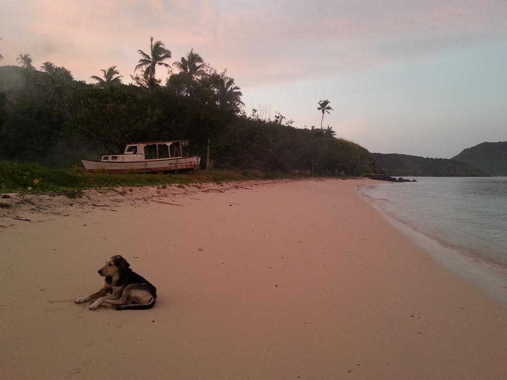 Yasawa Homestays Naisisili Kültér fotó